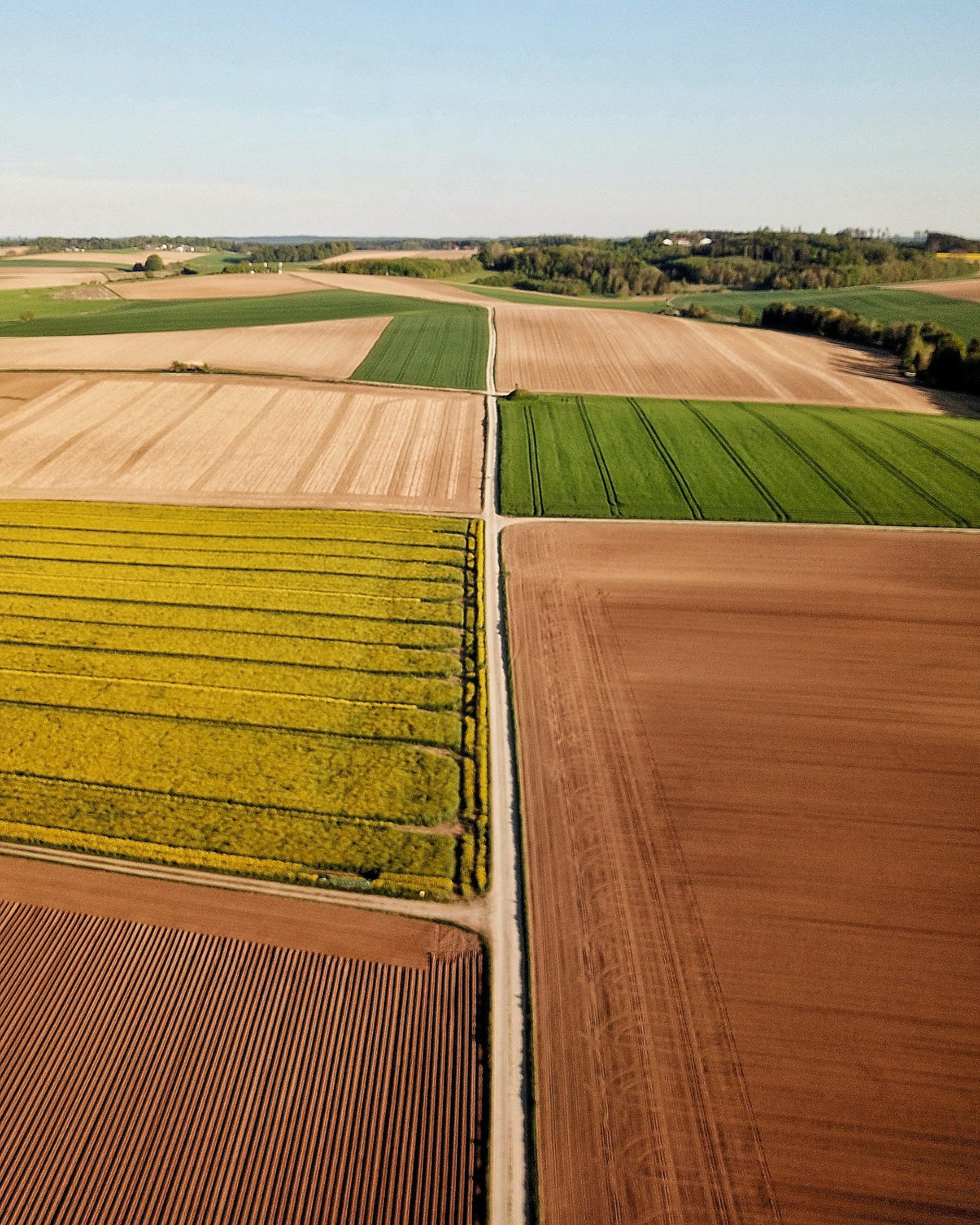 PIB do agro do Brasil deve crescer até 5% em 2022; alta de custos preocupa, diz CNA