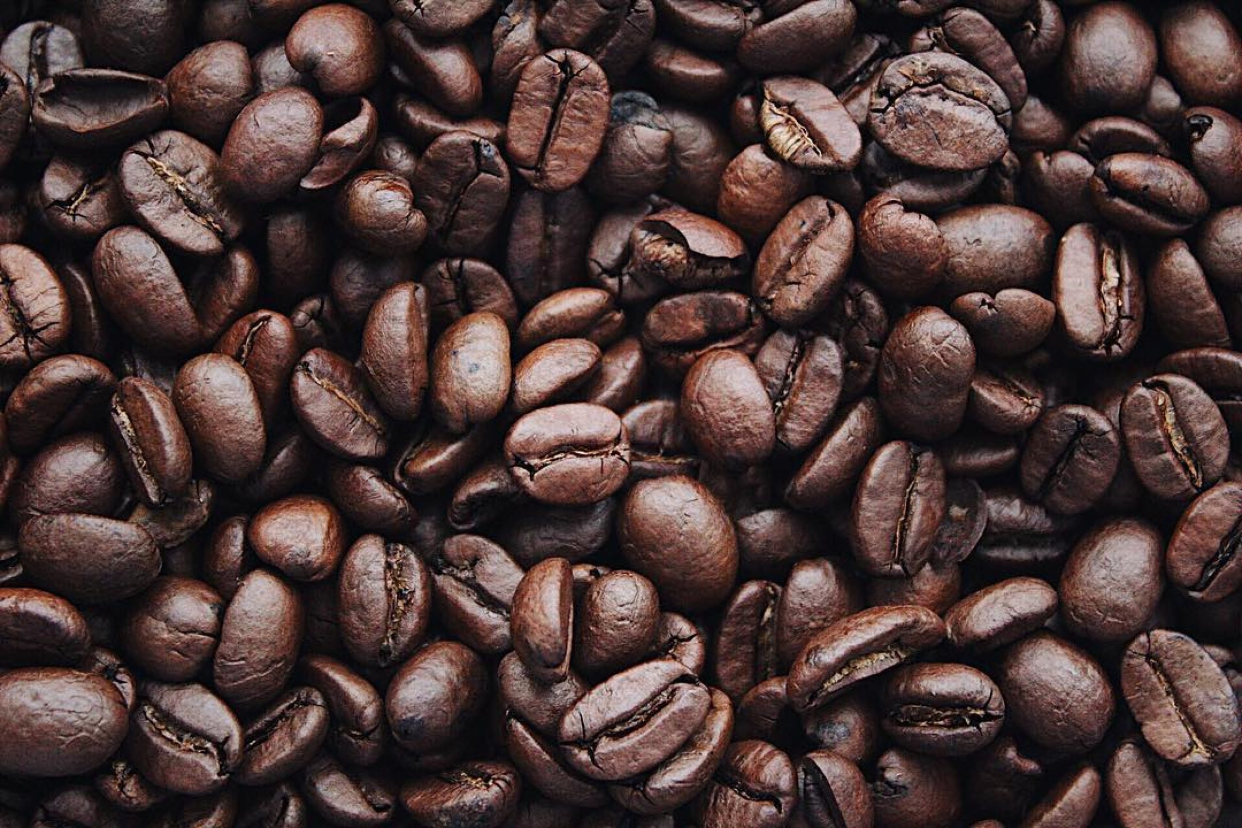 Café:  Queda nas estimativas de produção devem reproduzir patamares de 2016